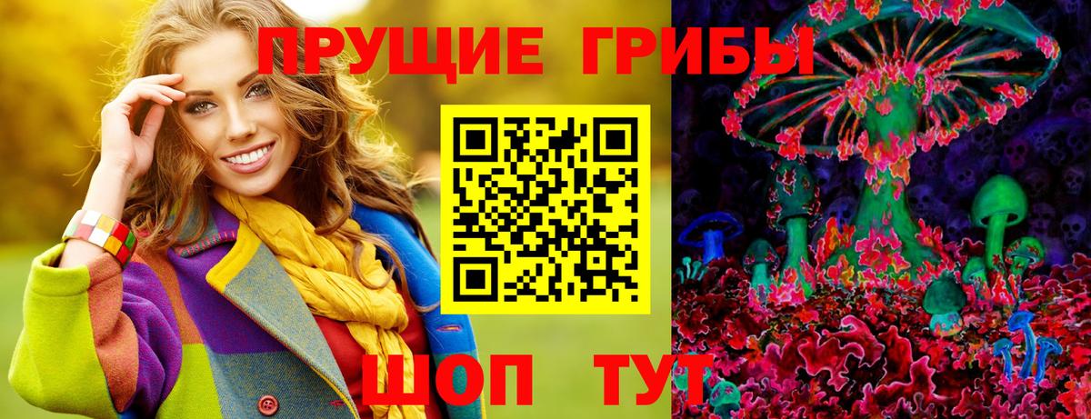 Псилоцибиновые грибы GOLDEN TEACHER Солнечногорск